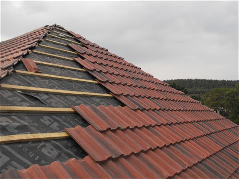 Tiled roof by Top Level Roofing & Building Solutions