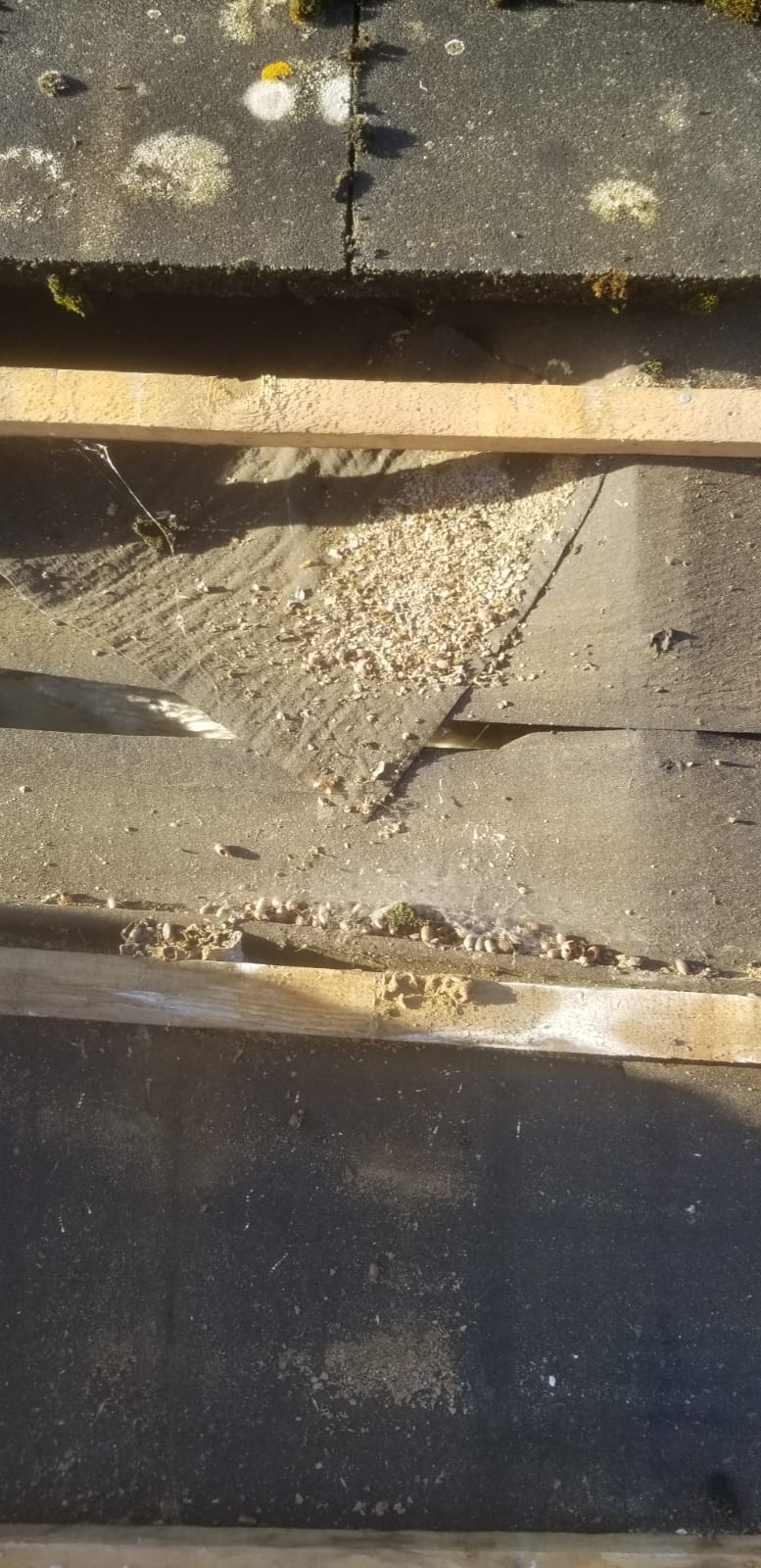 Roofing work in progress by Top Level Roofing & Building Solutions