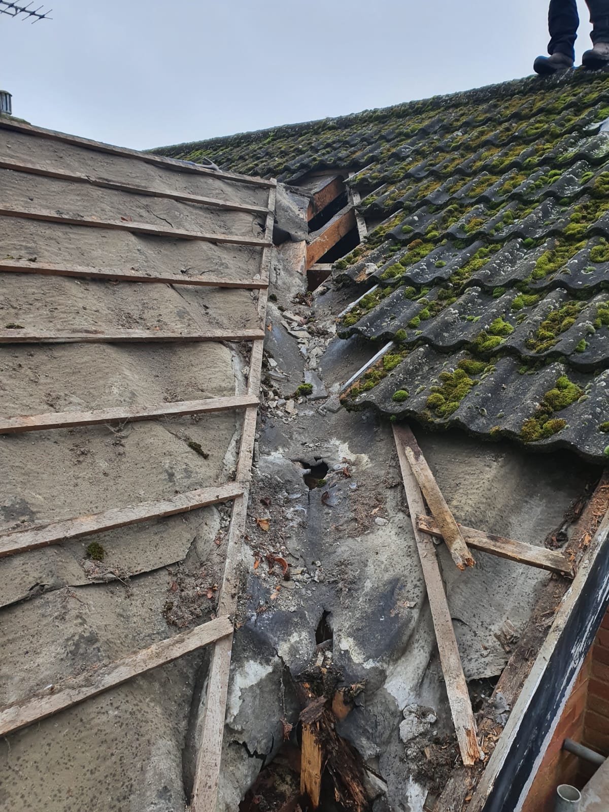 Tiled roof by Top Level Roofing & Building Solutions
