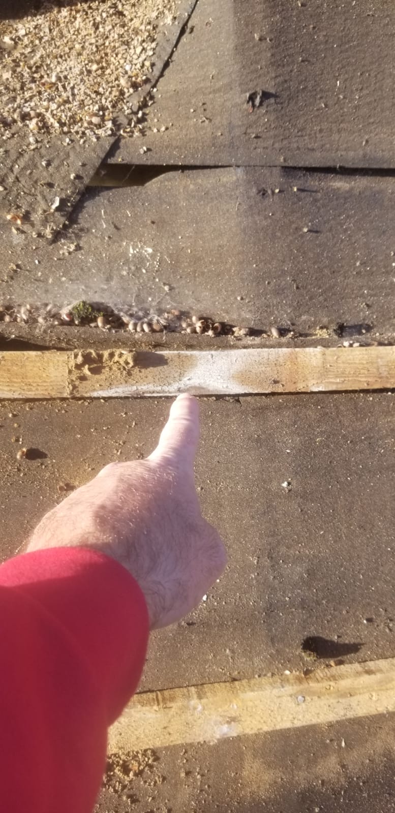 Roof repair by Top Level Roofing & Building Solutions