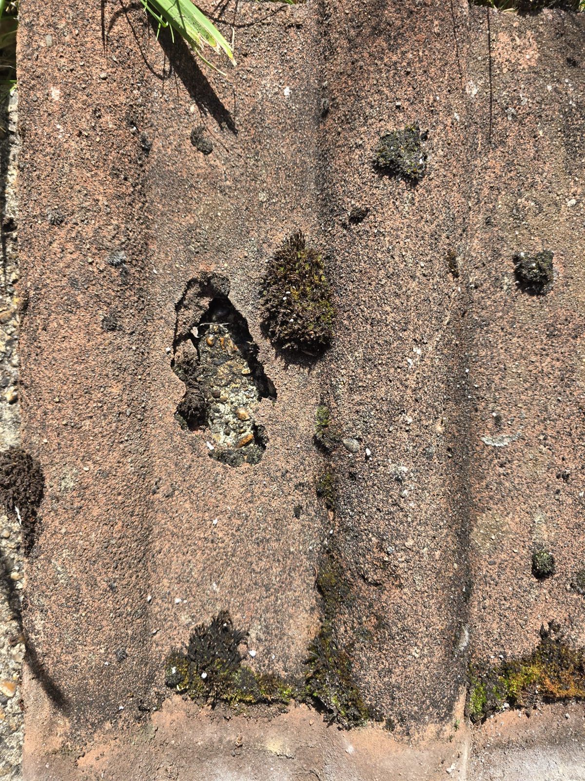 A cracked, holed and mossy roof tile ready for repair by Top Level Roofing & Building Solutions