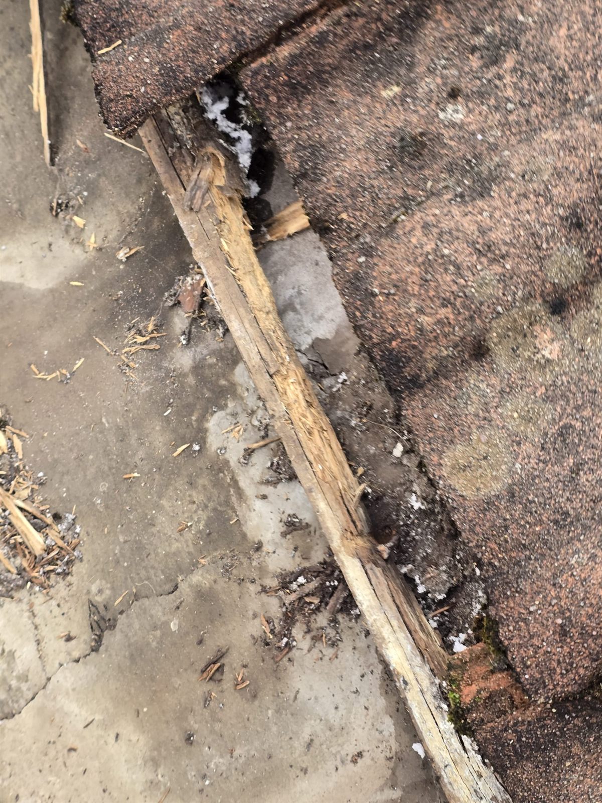 A rotten valley batten and cracked concrete tile ready for repair by Top Level Roofing & Building Solutions
