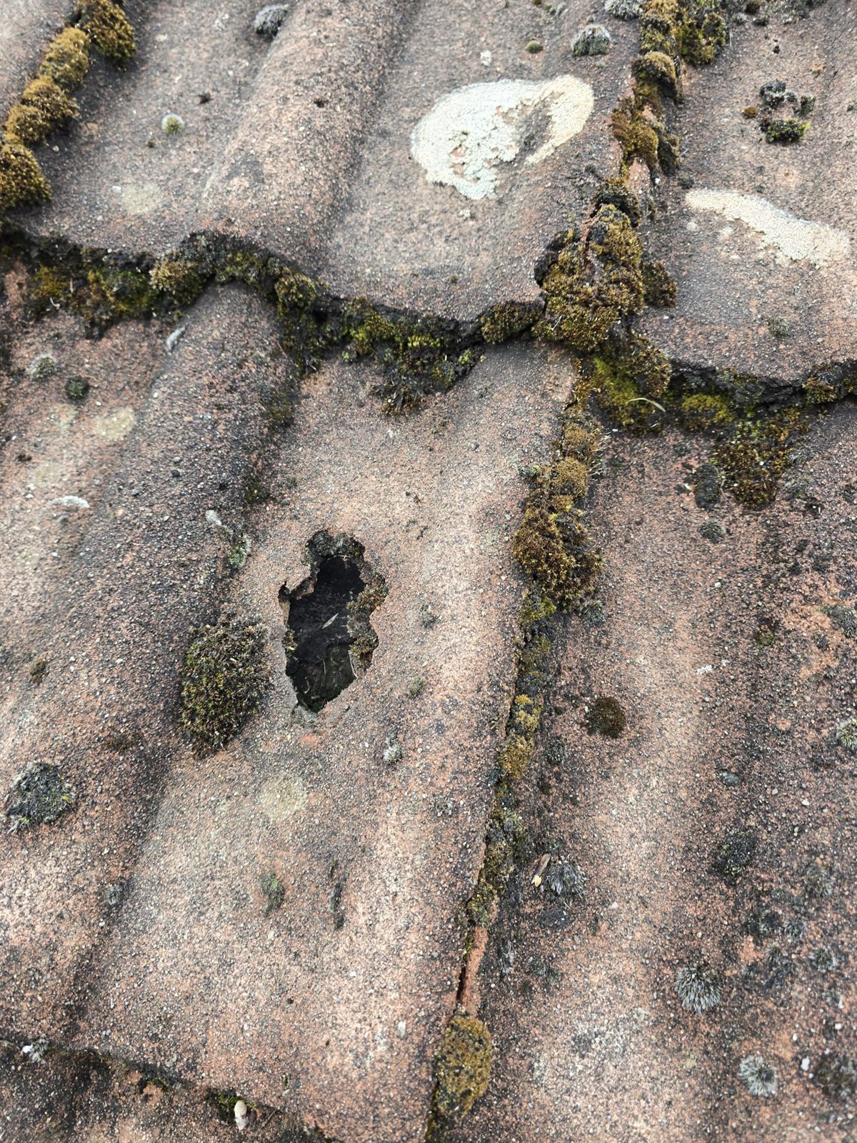 A cracked, moss-covered concrete roof tile by Top Level Roofing & Building Solutions